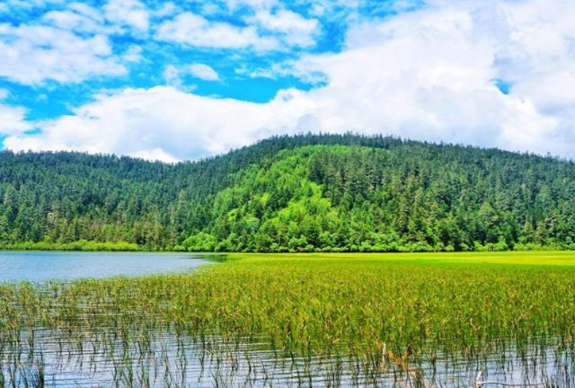 香格里拉是云南省迪庆藏族自治州下辖市及首府所在地,藏区历史悠久