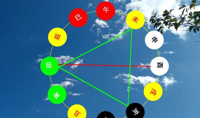 十二地支中“卯木”的相关属性|地支|属性|乙卯_新浪新闻