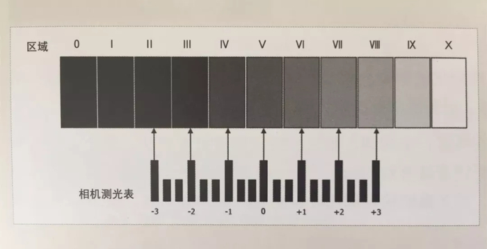 人像摄影用光技巧:区域曝光各区域的解读