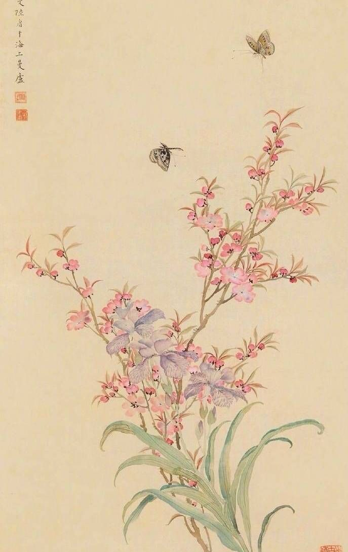 陆小曼笔下的花鸟画，真是一个才女啊|陆小曼|花鸟画|笔下