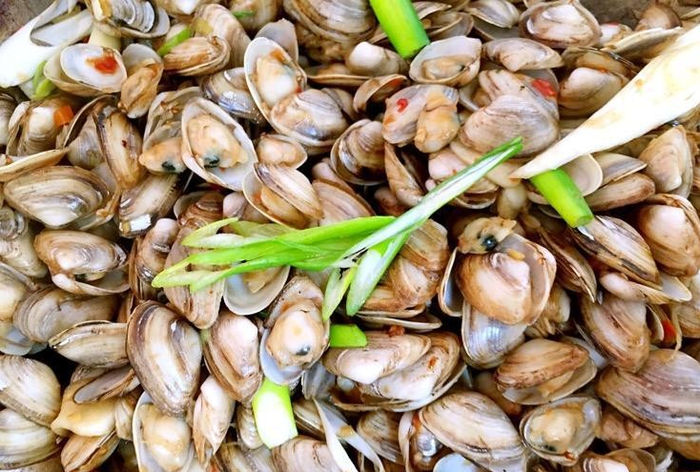 海瓜子是慈溪市著名海水特产, 多产于潮汐频繁的泥滩中|泥沙|中加|蚬|蛤_新浪新闻