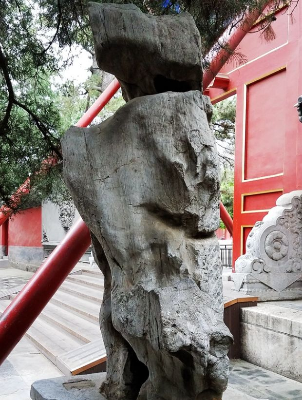 颐和园仁寿门前的这两块猪猴石是慈禧请来看家护院的吗?_新浪新闻