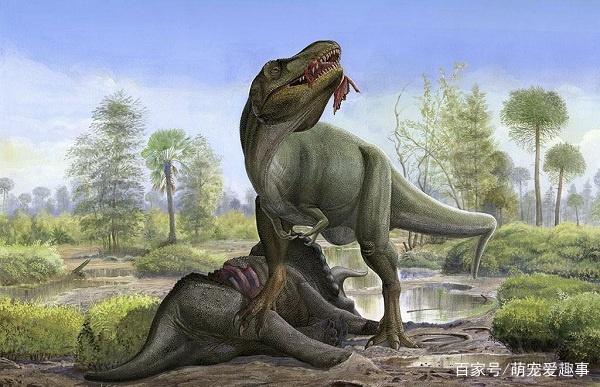 霸王龙是群居还是独居,霸王龙是不是最强的恐龙,看完你就明白了