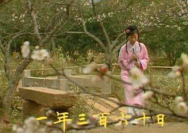 87版红楼最经典的黛玉葬花竟然是穿帮镜头?