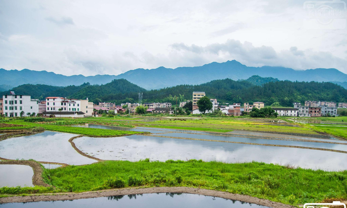 4月份汽车销量排行榜