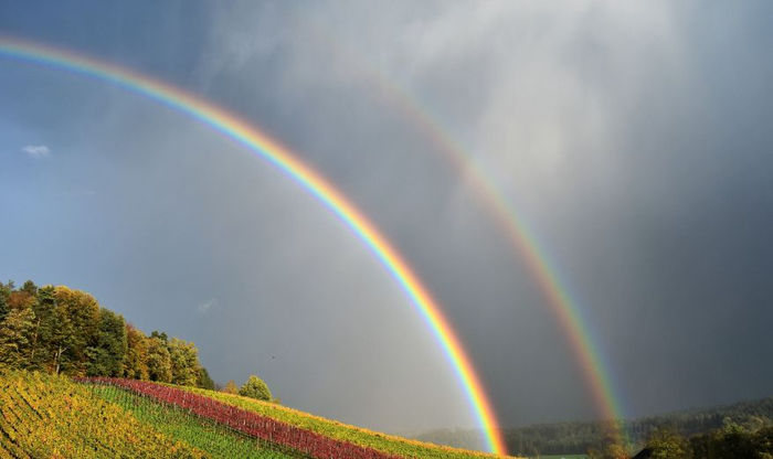 彩虹的景让人沉醉,各地各种不同的雨后彩虹呈现|彩虹|雨后|景色|乌云|折射_新浪新闻