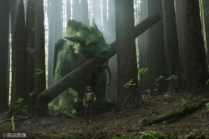 《驯龙高手》里的没牙仔,大概是外国电影里颜值最高的一条龙了|驯龙高手_新浪新闻