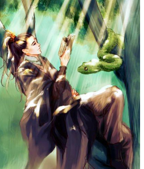 渣反的金牌忠犬,竹枝郎笨得让人怜惜,结局却不尽人意|竹枝|师尊|一生