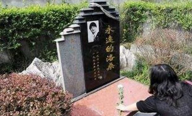 陵园行业的最新动态：味江陵园价格解析