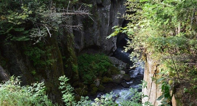 谷底森林位于长白山景区内洞天瀑布北侧,是长白山海拔最低的景点|地下森林_新浪新闻