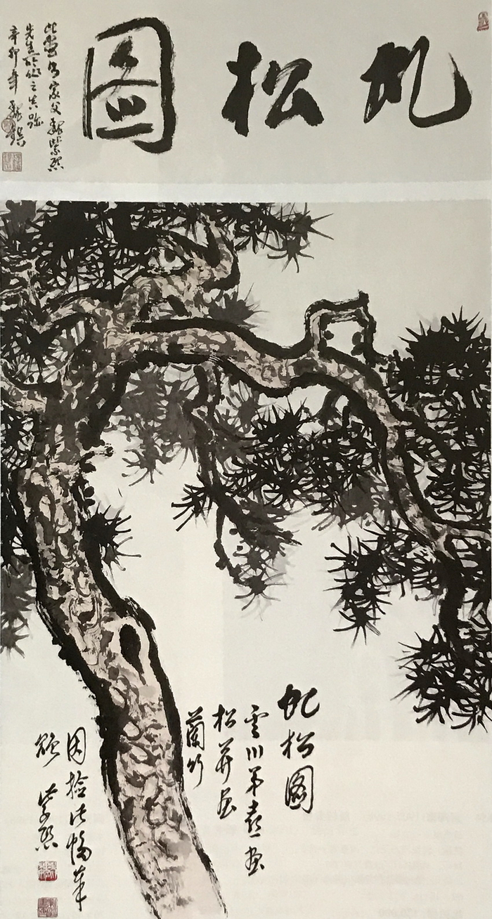 清水出芙蓉,国色富贵花——国画花鸟艺术观赏