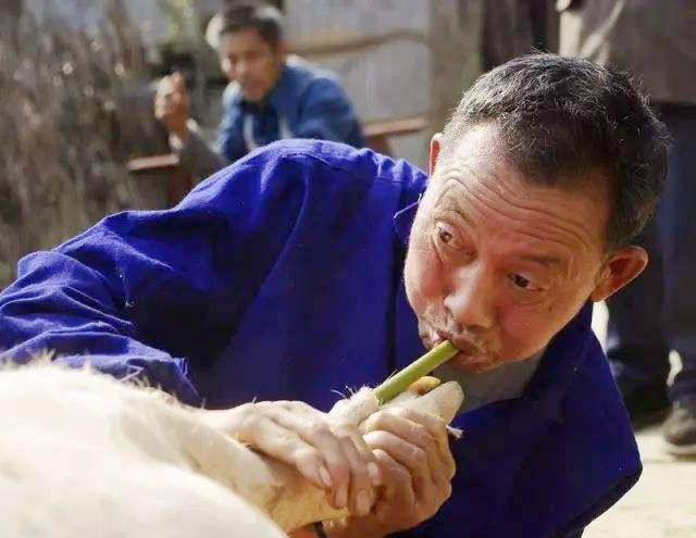 农村人杀猪,为什么最后要给它吹气,有什么用意吗?