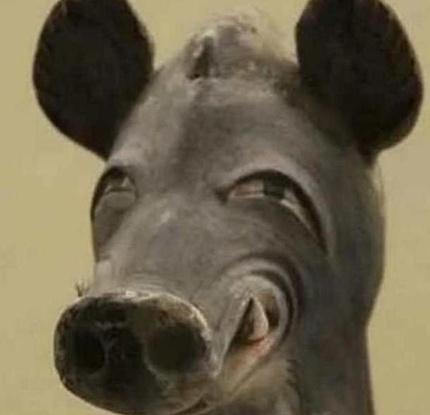 十二支俑　猪首人身俑 中国“不正经”的文物：中了剧毒的马头，笑容邪恶的唐猪首人身俑|马头|剧