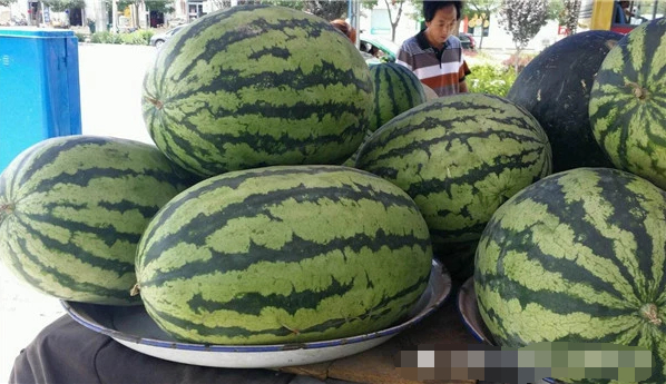 为什么西瓜、南瓜、北瓜是以方位命名，冬瓜却是以季节命名？|冬瓜|南瓜|西瓜