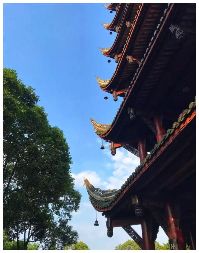 双流棠湖公园的大秘密!很多人都还不晓得_新浪新闻