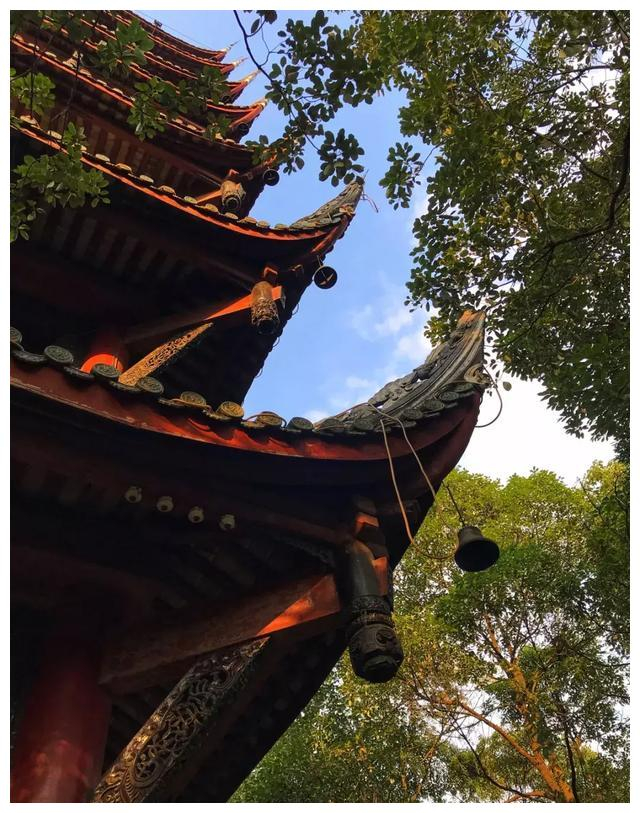 双流棠湖公园的大秘密!很多人都还不晓得_新浪新闻