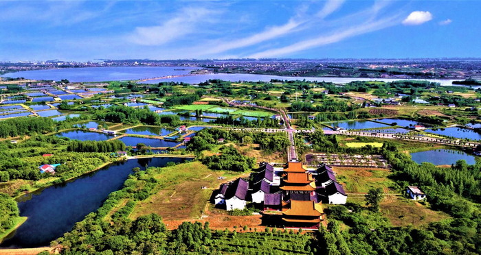 湖北枝江：大美湿地——金湖