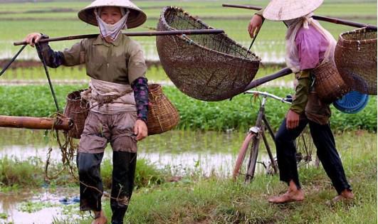 中国人去越南，看到越南农村女人的真实生活，她们到底靠什么生活