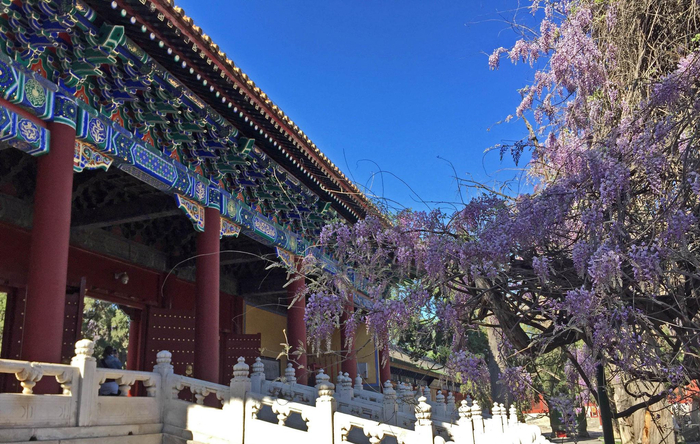 中国四大文庙——北京孔庙
