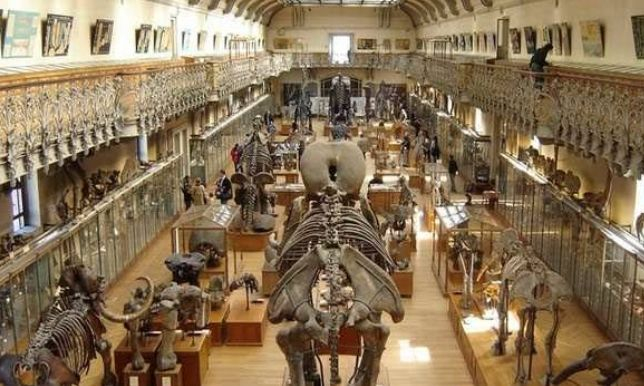 法国国家自然历史博物馆——世界顶尖的自然历史博物馆