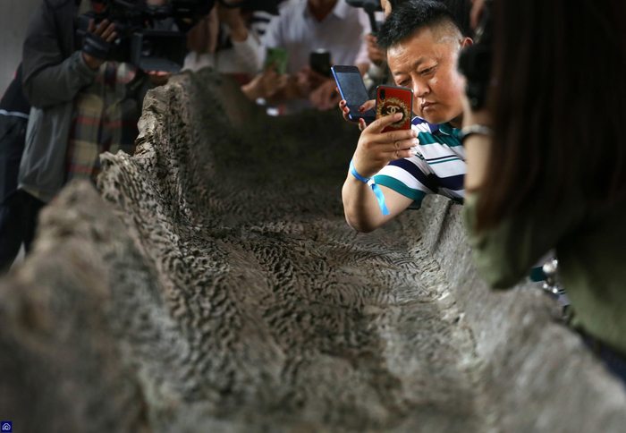 河南一艘3800年前的独木舟走红,外形完整船体结实_新浪新闻