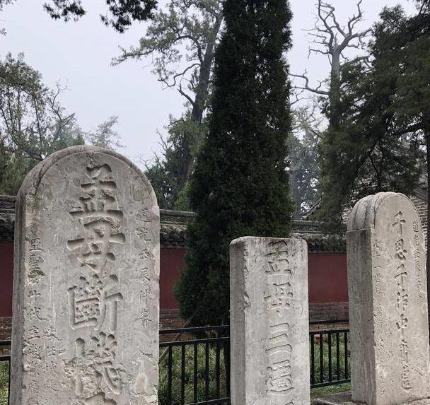 去邹城，游孟庙，感受孟子的浩然之气_新浪新闻