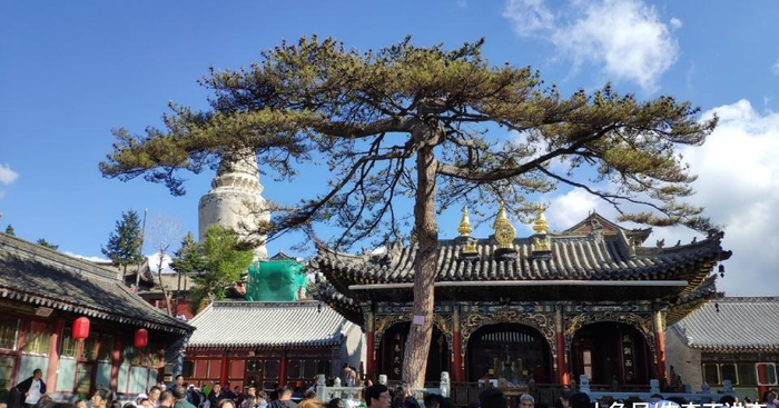 五台山香火最旺的五爷庙,烧香磕头都要排队,游客惊呼:五爷是谁