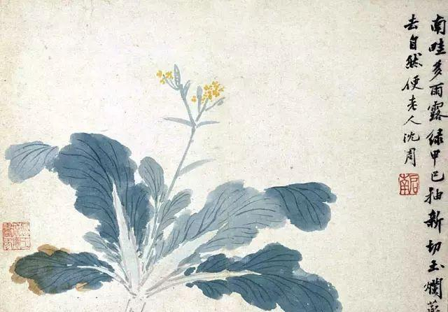 明代沈周高清作品,值得欣赏,感谢分享转发