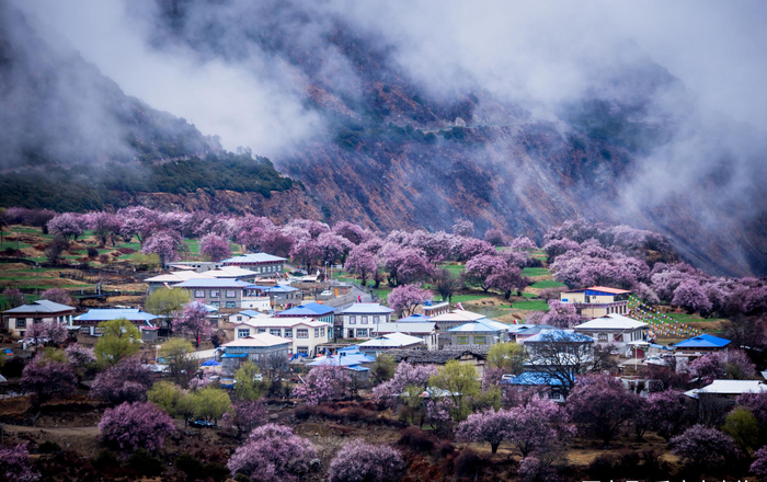 西藏旅游报价：让心灵在高原自由翱翔