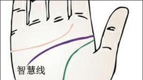 教你如何看手掌五大纹路