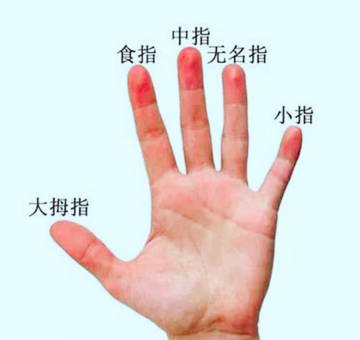 手相五指中各个手指所代表的意义！|财富|中指|手相