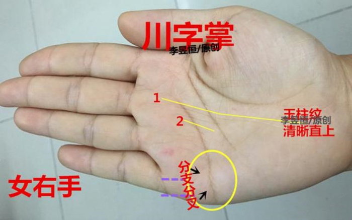 手相玉柱纹3种特征，一生钱财不断，事业有成！|太阳线|富贵|运势|双龙|财运_新浪新闻
