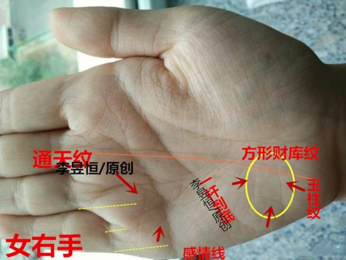 手相：人纹深长学识广；玉柱通天财运丰！