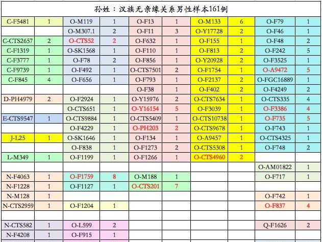 中国姓氏的Y单倍群：徐、孙、马、朱、胡
