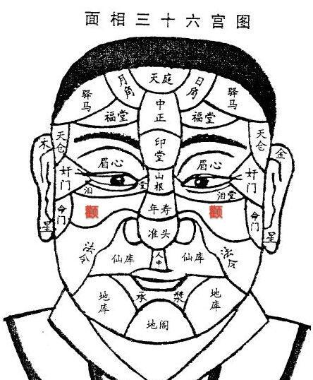 面相:颧骨看家族关系及婚姻子女