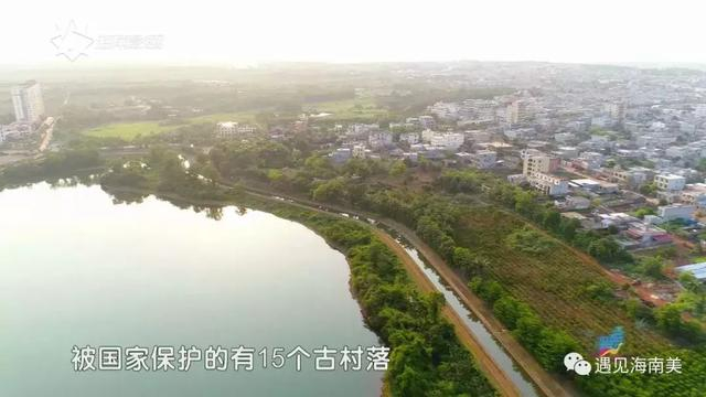 澄迈,中国第一个“世界长寿之乡”,人均寿命80岁!|澄迈|咖啡|福山|澄迈县|海南_新浪新闻