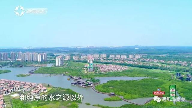 澄迈,中国第一个“世界长寿之乡”,人均寿命80岁!|澄迈|咖啡|福山|澄迈县|海南_新浪新闻