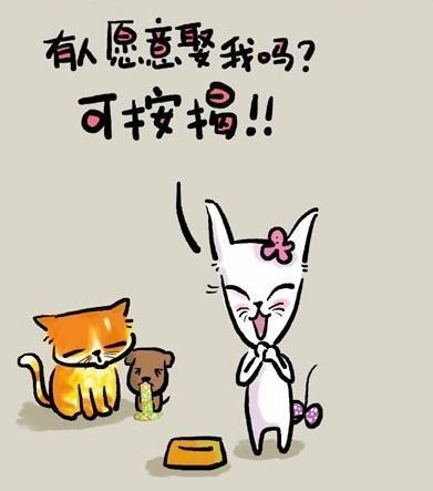 如果我不在乎了你就什么都不是了