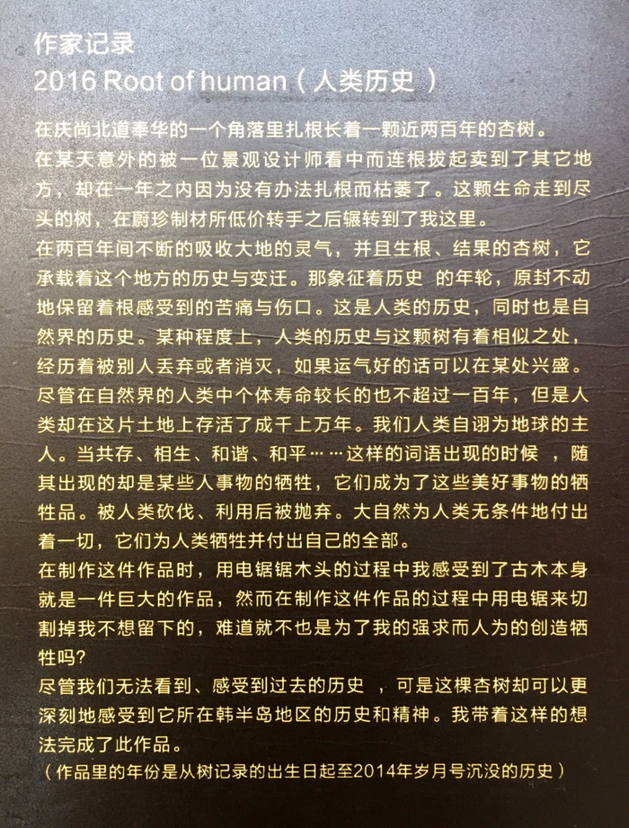 人类之根·一棵年轮永远静止在2014的百年银杏