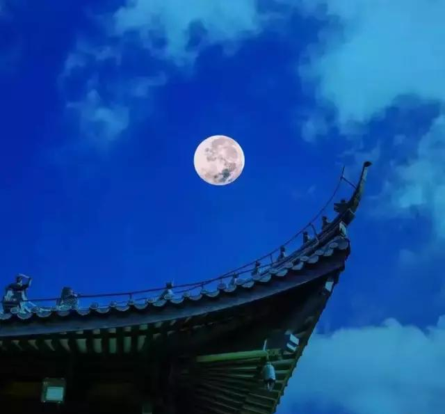 这座上海远近闻名的古寺,原来这么美,宛如人间净土!