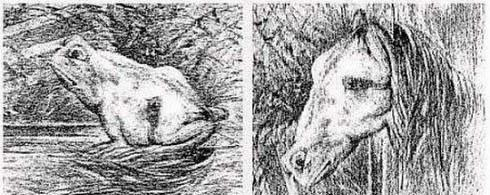 倒着说游戏词语