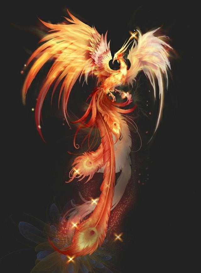 心理测试:哪只凤凰能够涅槃重生?测你5年后能否一飞冲天