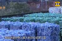 中国这技术厉害了!上亿吨“垃圾”秒变“宝贝”