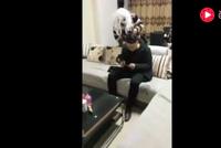 怎么让男友听话?这些招数很实用了!