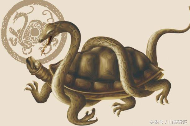古代神话中的4大神龟,有的被用来当柱子,有的帮大禹治水_新浪新闻