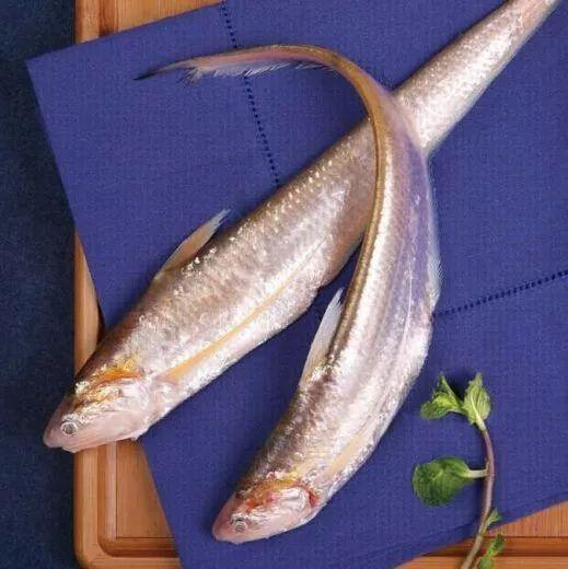 鲜鲜鲜钱塘江有哪些土著鱼很多人都没吃过