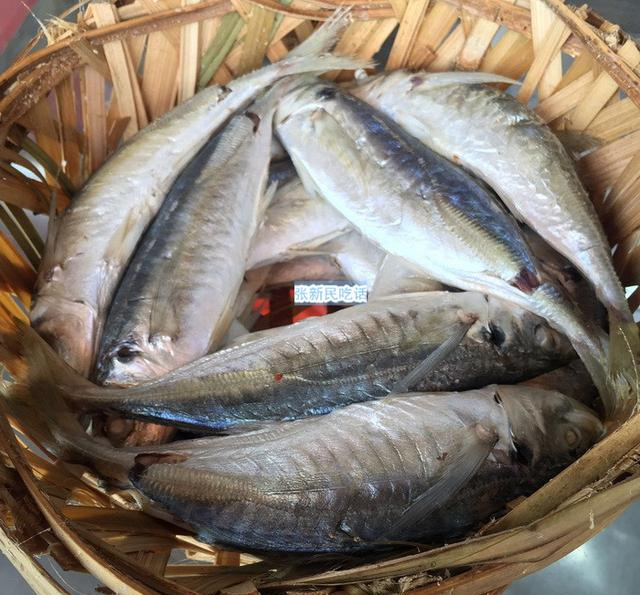 巴浪鱼名气大得很,但巴浪鱼同时又是很多鱼的泛称_新浪新闻