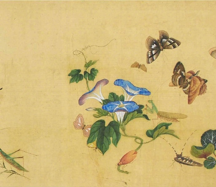 文俶 · 花鸟欣赏