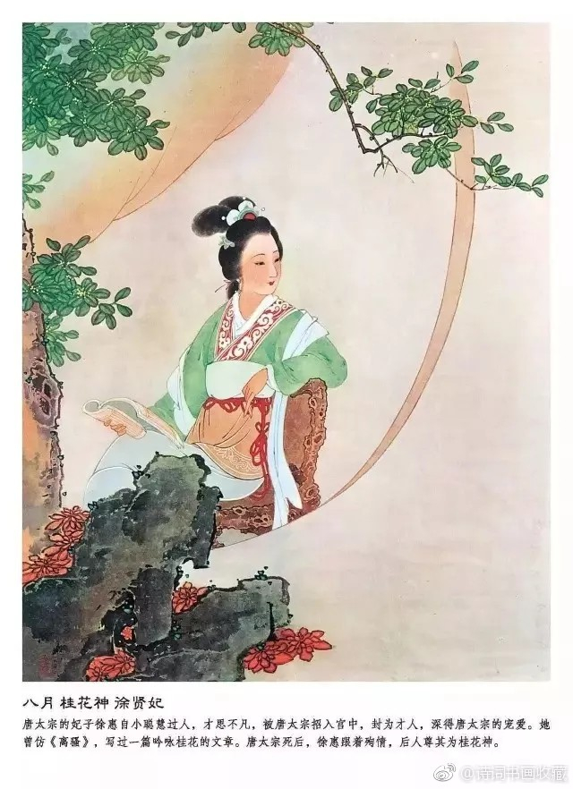王叔晖工笔重彩《十二花神》欣赏