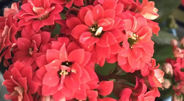 真主说:"你们进火狱去吧!你们忍受